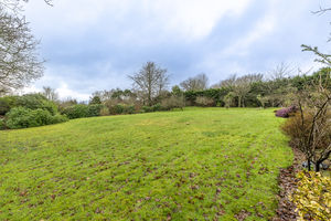 Photo 21- click for photo gallery